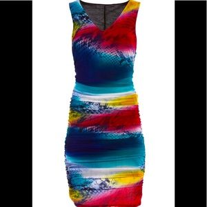 Boston Proper Snakeskin Mesh Multiple Color Dress